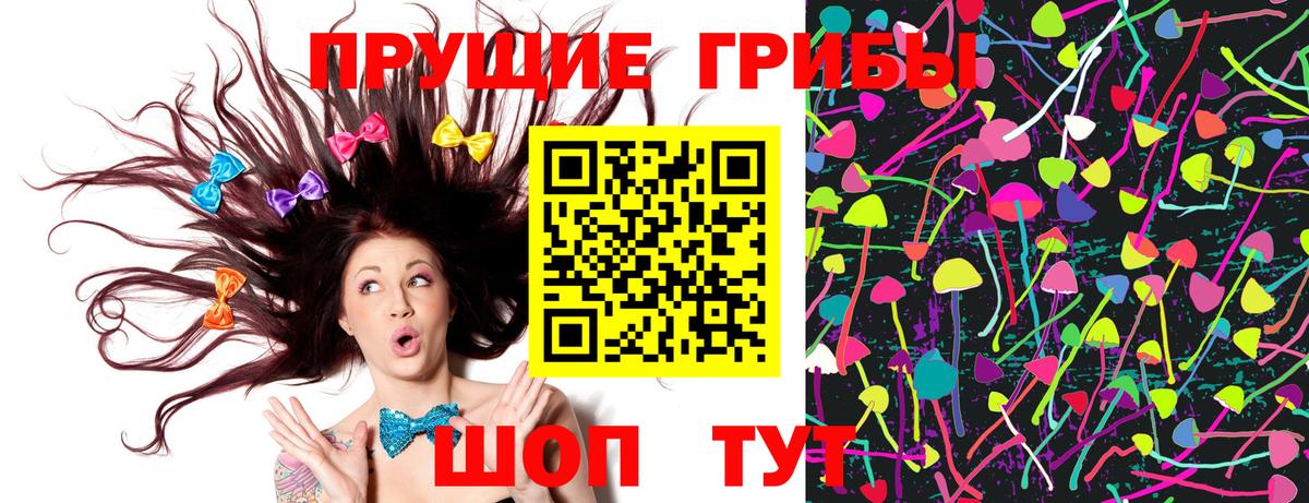 Галлюциногенные грибы Psilocybe  Вход с VPN  Новороссийск  Галлюциногенные грибы Cubensis 