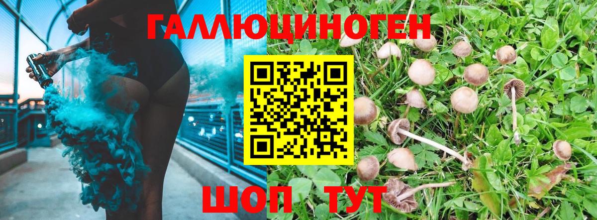 Псилоцибиновые грибы ЛСД Новороссийск